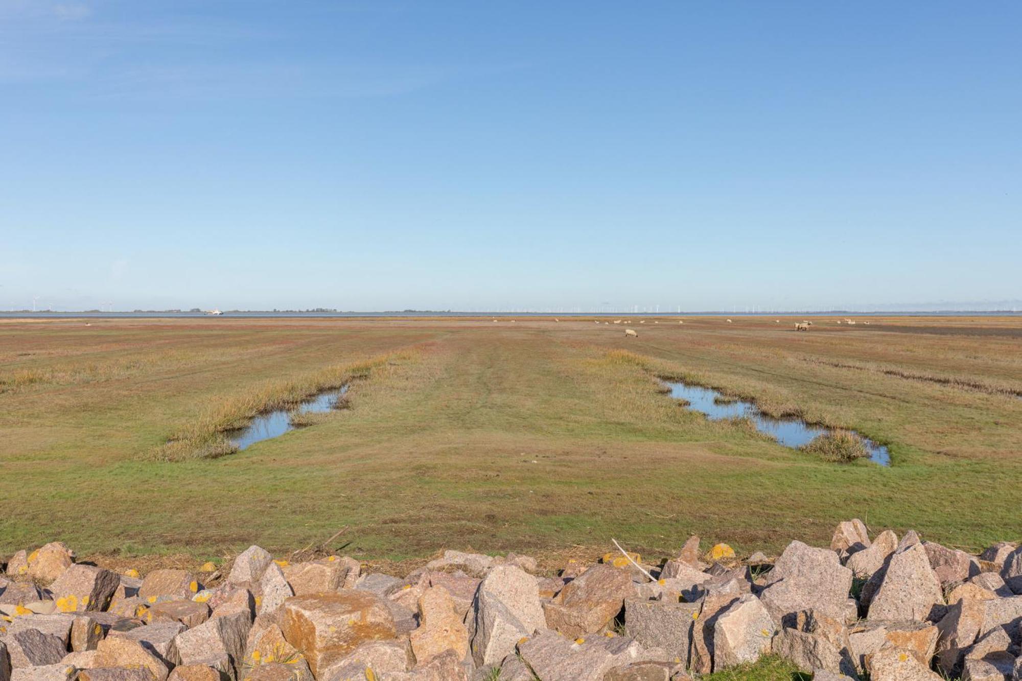 Wattenmeer Simonsberg 外观 照片